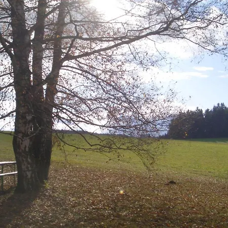 Xaver Vogl Böbrach